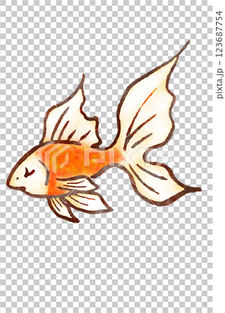 Goldfish 1 123687754