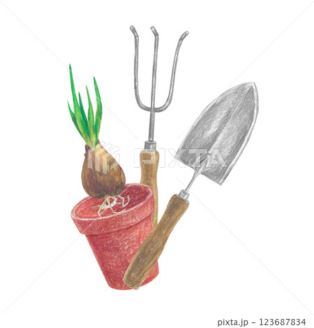 Hand-drawn garden elements. Flower pot, tulip bulb, shovel, rake, seedling. Colored pencils illustration for design Hand-drawn garden elements. Flower pot, tulip bulb, shovel, rake, seedling. Colored pencils illustration for design 123687834