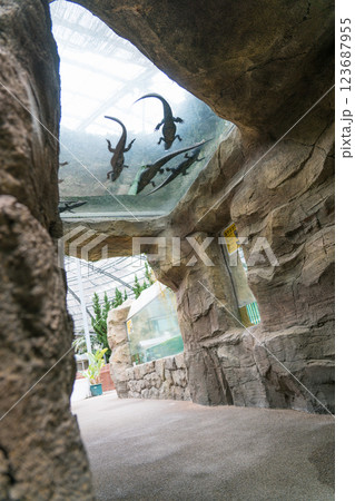 熱川バナナワニ園 123687955