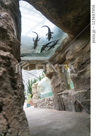 熱川バナナワニ園 熱川バナナワニ園 123687956