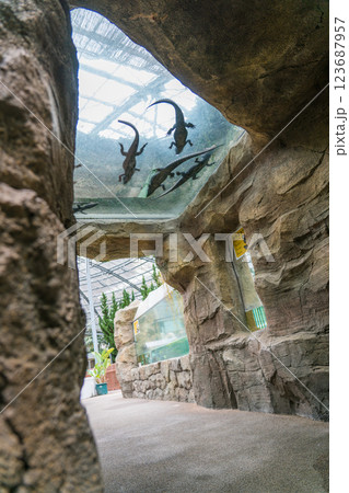 熱川バナナワニ園 熱川バナナワニ園 123687957