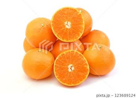 柑橘類（紅プリンセス） 123689124