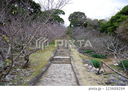 沖縄県　今帰仁城跡・城内の道 123689284