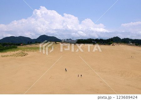 鳥取 四季の散歩 夏 鳥取砂丘 鳥取 四季の散歩 夏 鳥取砂丘 123689424