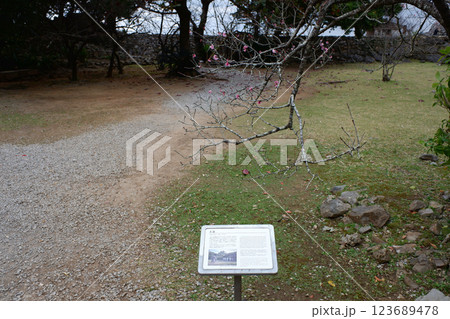 沖縄県 今帰仁城跡・大庭 沖縄県 今帰仁城跡・大庭 123689478