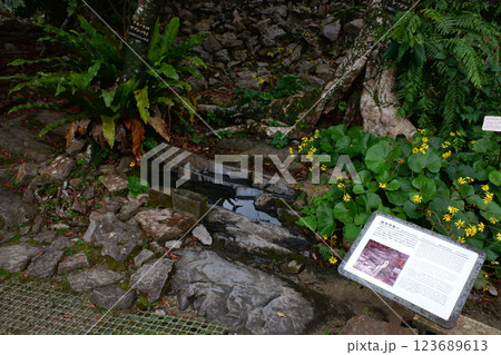 沖縄県　今帰仁城跡・カラウカー 123689613