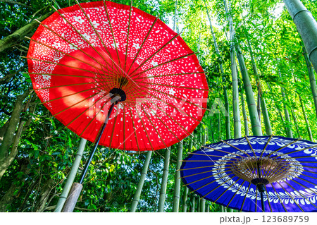 【神奈川県】竹林の中に映える鮮やかな和傘 123689759