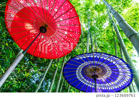 【神奈川県】竹林の中に映える鮮やかな和傘 123689761