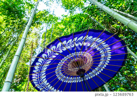 【神奈川県】竹林の中に映える鮮やかな和傘 【神奈川県】竹林の中に映える鮮やかな和傘 123689763