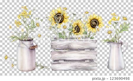 Watercolor illustrations set of chamomile and tansy in jug, bouquet of white daisy and sunflower in white gray wooden box. Hand drawn illustration meadow flowers isolated on background. 123690498