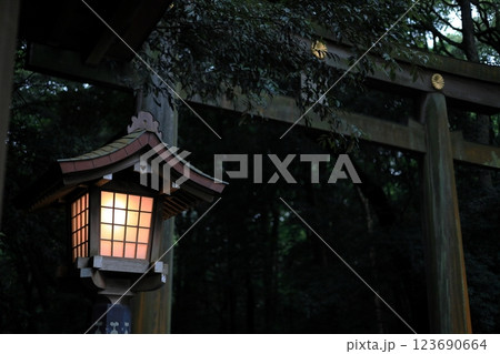 夕方の明治神宮 夕方の明治神宮 123690664