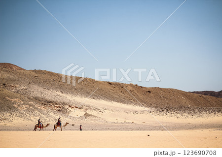 camel caravan walking through the desert with Arab boys in Egypt Dahab 123690708