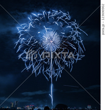夜空に咲く大輪の花火 123690902