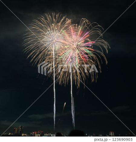 夜空に咲く大輪の花火 夜空に咲く大輪の花火 123690903