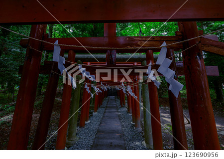 朱色の鳥居が続く神聖な山神社の参道 朱色の鳥居が続く神聖な山神社の参道 123690956