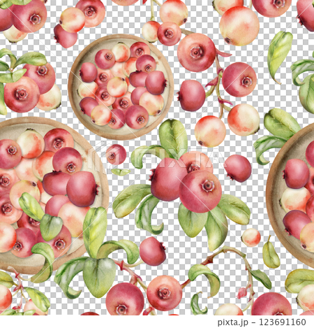 Cranberry lingonberry on ceramic plate, green leaves, hand drawn in watercolor, scattered ripe red forest berry. Isolated seamless pattern. Patchwork, dessert cafe menu, farmers market, home preserves Cranberry lingonberry on ceramic plate, green leaves, hand drawn in watercolor, scattered ripe red forest berry. Isolated seamless pattern. Patchwork, dessert cafe menu, farmers market, home preserves 123691160