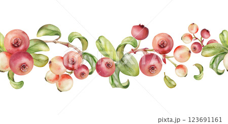 Cranberry lingonberry with green leaves on branch, ripe forest berry bearberry teaberry wintergreen cluster group, hand drawn in watercolor. Isolated seamless banner border for menu, farmers market 123691161