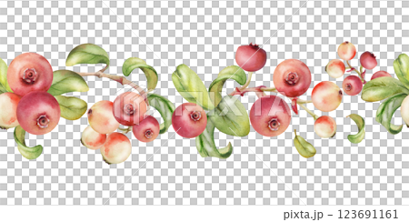 Cranberry lingonberry with green leaves on branch, ripe forest berry bearberry teaberry wintergreen cluster group, hand drawn in watercolor. Isolated seamless banner border for menu, farmers market 123691161