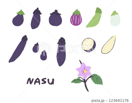 いろいろなナスのイラストセット 123691176