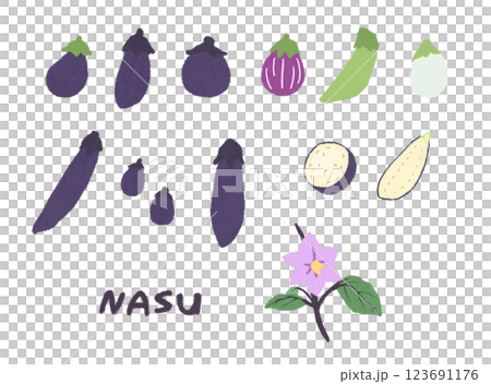 いろいろなナスのイラストセット 123691176