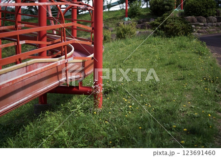 鳥取 四季の散歩 春 用瀬運動公園 鳥取 四季の散歩 春 用瀬運動公園 123691460