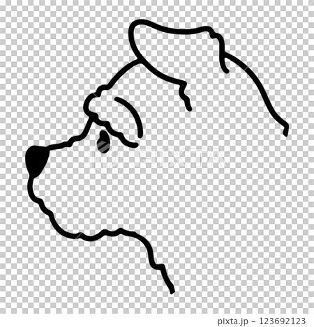 シンプルで可愛いミニチュアシュナウザーの横顔 線画のみ シンプルで可愛いミニチュアシュナウザーの横顔 線画のみ 123692123