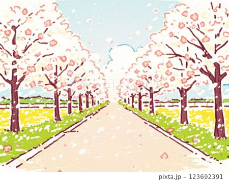 背景、桜の並木道、イラスト、素材、春 123692391