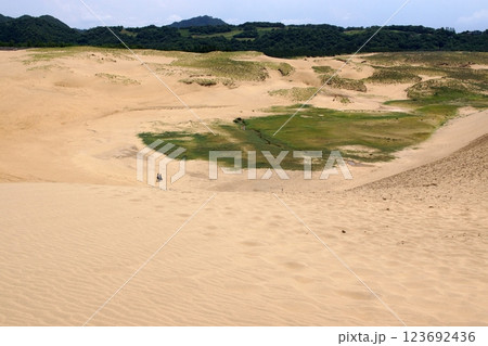 鳥取 四季の散歩 夏 鳥取砂丘 鳥取 四季の散歩 夏 鳥取砂丘 123692436