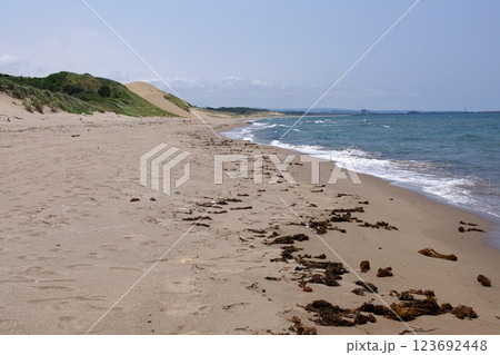 鳥取 四季の散歩 夏 鳥取砂丘 鳥取 四季の散歩 夏 鳥取砂丘 123692448
