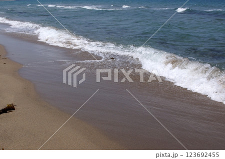 鳥取 四季の散歩 夏 鳥取砂丘  鳥取 四季の散歩 夏 鳥取砂丘  123692455