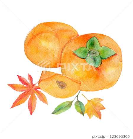 水彩イラスト 熟した柿と紅葉 123693300