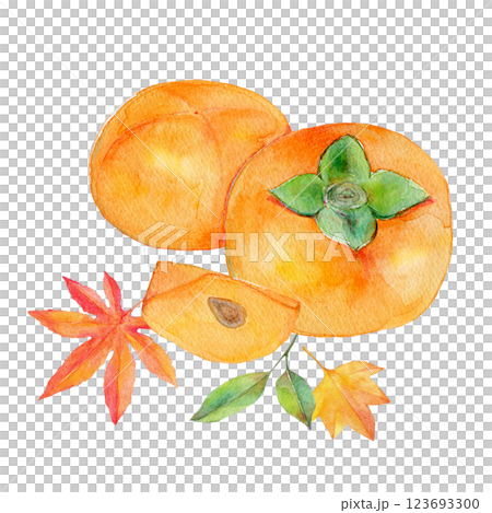 水彩イラスト 熟した柿と紅葉 123693300