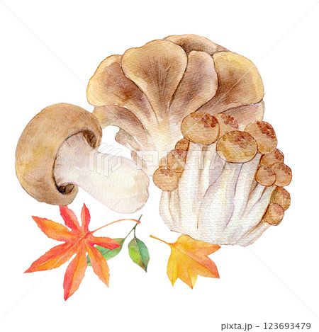 水彩イラスト　秋の味覚　きのこのセット 123693479