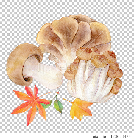 水彩イラスト　秋の味覚　きのこのセット 123693479