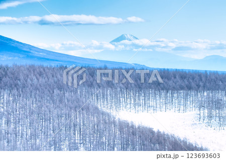霧ヶ峰 雪景色 123693603