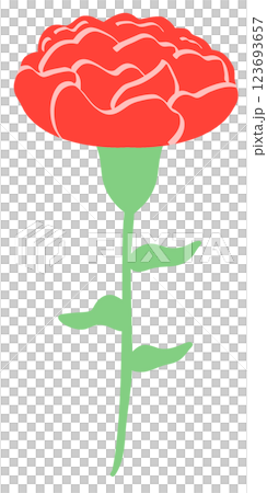 向上紅色康乃馨(無線條) 向上紅色康乃馨(無線條) 123693657