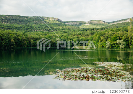 Beautiful landscape, mountain lake, reeds and green forest Beautiful landscape, mountain lake, reeds and green forest 123693778