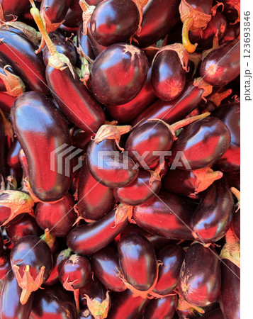 lots of eggplant for food as background lots of eggplant for food as background 123693846