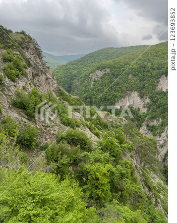 Beautiful mountain scenery and green forest from the top of the cliff 123693852