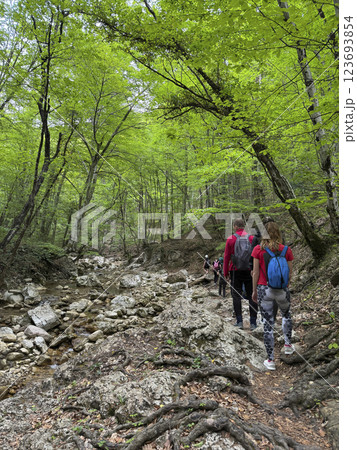 Tourists climb to the top of the mountain through the green forest on a journey Tourists climb to the top of the mountain through the green forest on a journey 123693854