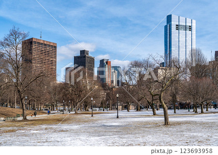 Boston cityscape against beautiul winter blue sky with soft white clouds seen from Boston Common park 123693958
