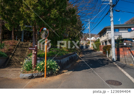 石座神社　水仙が咲く神社の入口　鶴巻温泉　 123694404