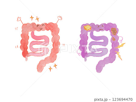 健康な腸と不健康な腸の水彩イラスト顔つき 123694470