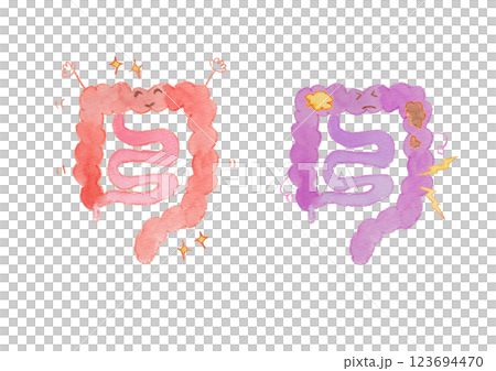健康な腸と不健康な腸の水彩イラスト顔つき 123694470