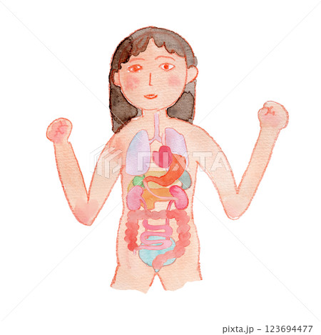 元気な女性と内臓の水彩イラスト 123694477