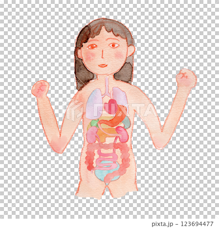 元気な女性と内臓の水彩イラスト 123694477