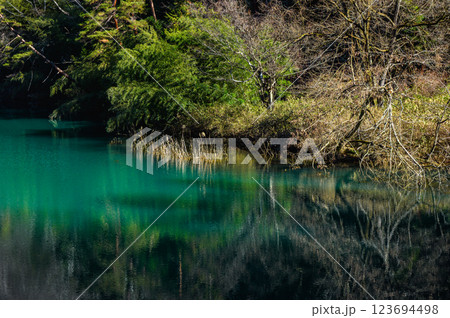 【麻績川】神秘的な川【東筑摩郡生坂村】 123694498