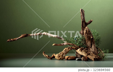 Abstract nature scene with a composition of juniper, stones, and dry snags. Abstract nature scene with a composition of juniper, stones, and dry snags. 123694560