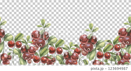 Red berries watercolor seamless border. Cranberries branches with green leaves and fruits banner for product packing, textile, fabric design. Forest organic food, healthy vegan diet 123694987