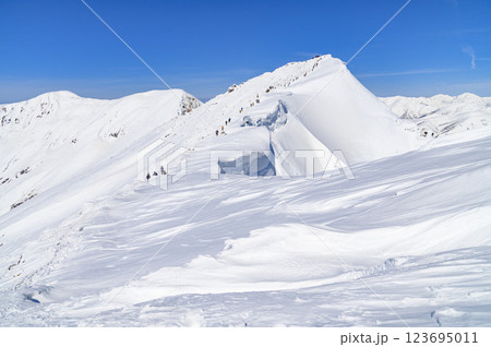 厳冬期の谷川岳・オキの耳へと続く稜線 123695011
